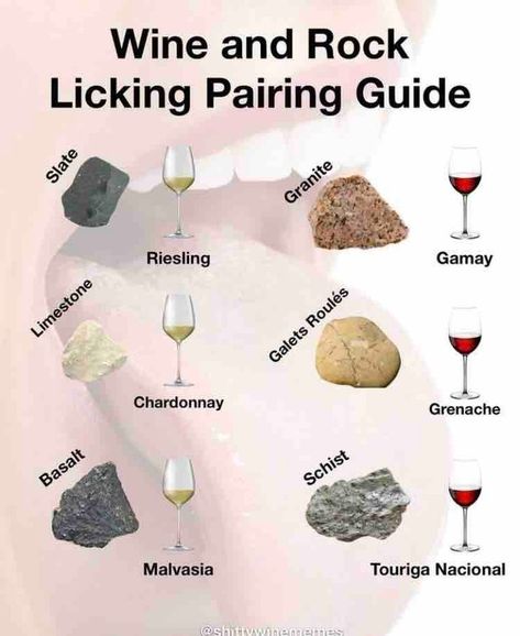 In the real world, sommeliers will sometimes describe the taste of wine using terms that evoke geological features like “slate” or “granite.” This image is playing on that idea, taken to an absurd extreme. Licking rocks is not an actual part of wine tasting! 🍷🍷🍷 Here is a short and funny caption you could use for this image: * When the wine description gets a little too literal 🪨 #winetasting #geology #shittywinememes #thewonderfulworldofwine #wineeducation #wine #franklinma Wine Descriptions Charts, Wine Varietals Chart, Wine Facts Interesting, Wine Descriptions, Spain Wine Regions, Wine Tasting Memes Funny, Wine Education, Funny Captions, Riesling