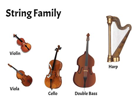 Instruments Of The Orchestra, Instrument Families, Powerpoint Lesson, Virtual Field Trips, Music Teachers, Music Teaching, Music Ed, Elementary Music, Student Motivation