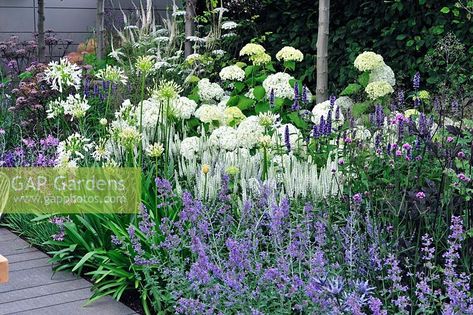 Vestra Wealth's Vista. Hydrangea arborescens 'Annabelle' and nepeta in border. Hydrangea Arborescens Annabelle, Hydrangea Landscaping, Hydrangea Arborescens, Back Garden Design, Hydrangea Garden, Rock Garden Landscaping, Have Inspiration, Garden Borders, Oil Pastels