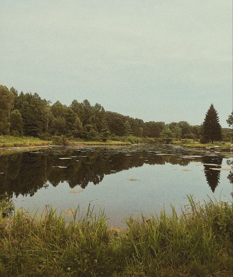 Film Photography. Nature. Lake. Film Photo. Grainy. Aesthetic. Gloomy. Vintage Photography Nature, Nature, Film Nature Aesthetic, 70s Nature Photography, Retro Nature Aesthetic, Vintage Photography Landscape, How To Make Your Photos Look Grainy, 35 Mm Film Photography Nature, Vintage Nature Photos