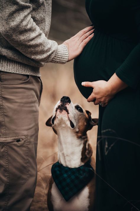 Maternity Dog Photos, Dog And Maternity Photos, Diy Maternity Photos With Dog, Maternity Photography May, Maternity Family Photos With Dog, Couples Maternity Pictures With Dog, Family Maternity Pictures With Dog, Dogs In Maternity Photos, Fall Pregnancy Photoshoot With Dog