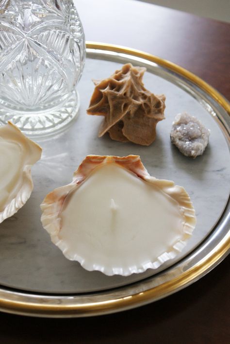 Candle In Shell, Candles In Shells, Shell Decorating Ideas, Shells Decoration Ideas, Sea Shell Ideas, How To Make Candles, Diy Crafts Aesthetic, Decorating With Shells, Diy Candle Ideas