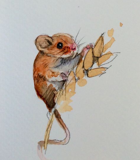 Harvest mouse sketch AVW Fairy Mouse Drawing, Mouse Designs Sketch, Mouse Running Drawing, Harvest Mouse Drawing, Harvest Mouse In Flower, Harvest Mouse Illustration, Field Mouse Illustration, Mouse Tattoo, Mouse Sketch