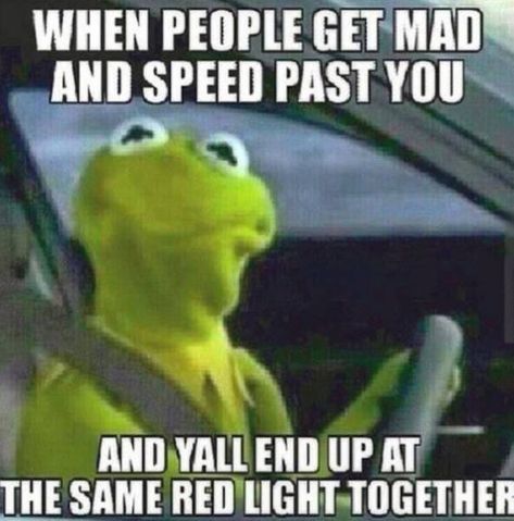 Kermit The Frog Memes, Funny Kermit Memes, Kermit Funny, Now Quotes, Kermit The Frog, Have A Laugh, E Card, The Frog, Bones Funny