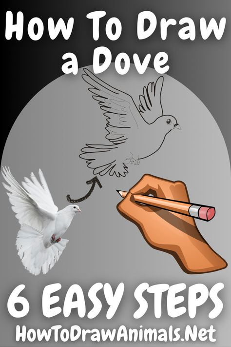 learn to easily draw a dove bird Easy Dove Drawing, How To Draw A Dove Step By Step, How To Draw A Dove, How To Draw A Bird Easy, Dove Drawing Simple, Doves Drawing, Dove Bird Art, Woodburning Design, Dove Sketches