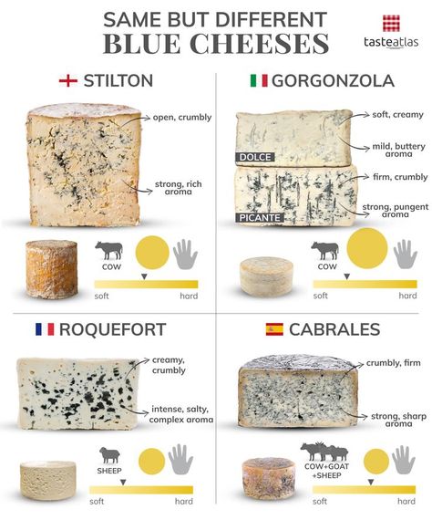 Blue Cheese Pairing, Charcuterie Accoutrements, Cheese Infographic, Cheese Types, Type Of Cheese, Culinary Lessons, Holiday Entertaining Food, Culinary Cooking, Food Vocabulary