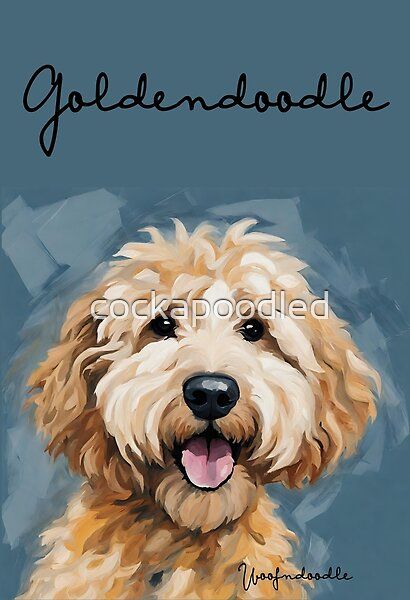 How To Draw A Golden Doodle, Golden Doodle Sketch, Golden Doodle Portrait, Goldendoodle Painting, Golden Doodle Painting, Golden Doodle Illustration, Golden Doodle Painting Easy, Golden Doodle Art, Goldendoodle Painting Easy