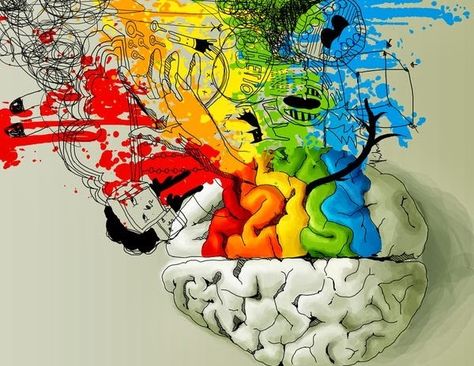 "As a writer, words are your paint. Use all the colors" ― Rhys Alexander Brain Art, The Human Brain, Right Brain, Human Brain, A Drawing, Bulletin Boards, The Words, Illustration Design, Brain