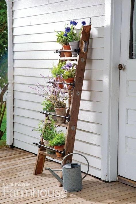 Ladder Planter, Plant Ladder, Garden Ladder, Porch Plants, Old Ladder, Diy Flower Pots, Vertical Gardens, Flower Pot Garden, Wooden Ladder