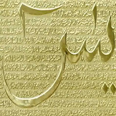 Surah Yaseen - Read Holy Quran Online Surah Yaseen Calligraphy, Surah Manzil, Surah Al Quran, Tahajjud Prayer, Surah Yaseen, Bismillah Calligraphy, Surah Fatiha, I Love My Parents, Quran Tafseer