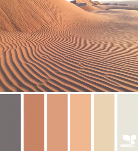 Color Wander Desert Sunrise Color Palette, Scrivener Aesthetic, Design Seeds Color Palette, Seeds Color Palette, Desert Color Palette, Pallet Color, Seeds Color, Desert Colors, Pintura Exterior