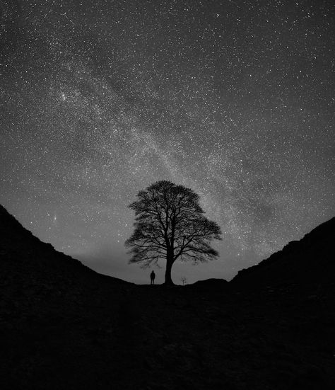 Wide Angle Lens, Stars, Astronomy, Full Frame, Wide Angle, Night Sky, First World, The Year, Photographer