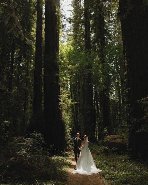 Whimsical Wedding Forest, Intimate Wedding In The Woods, Lake Forest Wedding, Forest Wedding Photo Ideas, Forest Wedding Venue Ideas, Intimate Lake Wedding, Forest Wedding Simple, Small Woods Wedding, Wedding In The Redwoods