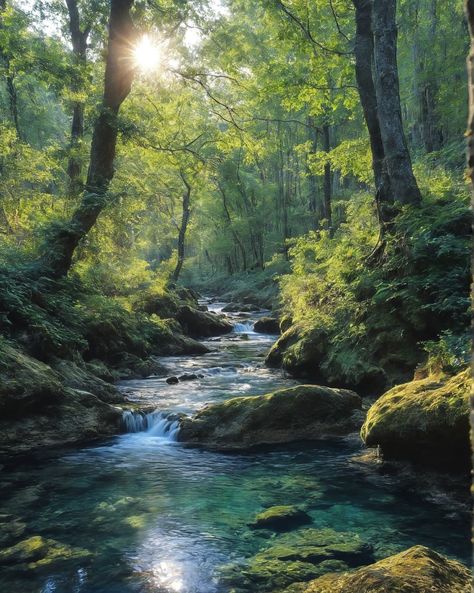 Forest Stream Photography, Horizontal Nature Photography, Leaves On A Stream, Beauty Of Nature Photography, Forest Landscape Photography Horizontal, Summer In The Woods, Water Pictures Photography, Beautiful Images Nature Photography, Forest With Stream