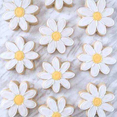 Daisy 1st Birthday Cookies, Daisy Bachelorette Party, Daisy Baby Shower Cookies, Daisy Birthday Cookies, Daisy Royal Icing Cookies, Daisy Cookies Decorated, Daisy Sugar Cookies Royal Icing, Daisy Sugar Cookies, Cookies Daisy