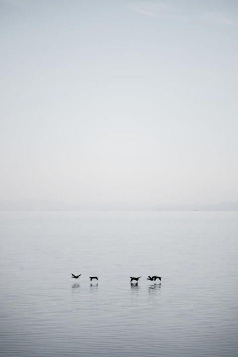 for our living room or bedroom, birds over water Mike Kelley, Calming Pictures, Ravenclaw Aesthetic, Salton Sea, Minimal Photography, Design Consultation, Aviation Photography, Magazine Photography, Aerial Photography