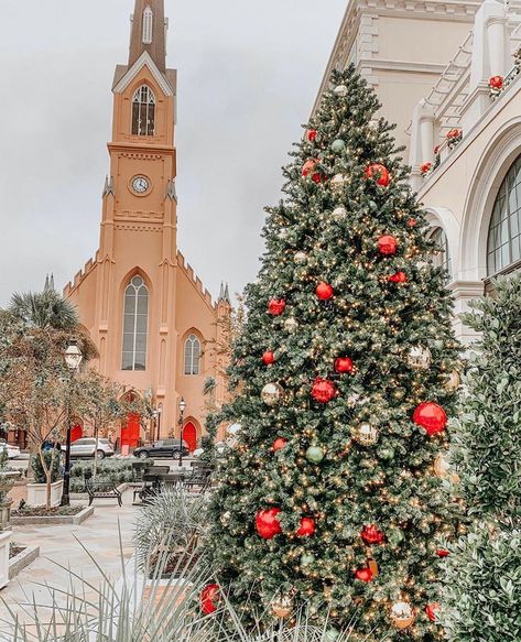 Christmas Charleston #Christmas #navidad #christmastree #Christmasdecor #pjg Charleston Christmas, Charleston Tours, Charleston Bachelorette, Charleston Vacation, Charleston Travel, Folly Beach, Beach Christmas, Activities To Do, Charleston Sc