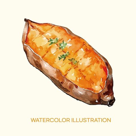 Watercolor illustration of sweet potato | Premium Vector #Freepik #vector #potato #potatoes #savory #water-color Sweet Potato Painting, Sweet Potato Brulee, Sweet Potato Drawing, Potato Illustration, Potato Drawing, Potato Print, Animal Based, Sweet Potatoes, Watercolor Illustration