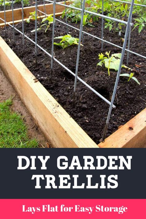 Diy Trellis For Raised Garden Bed, Bean Trellis Ideas Raised Beds, Remesh Sheet Trellis, Diy Trellis For Tomatoes, Diy Pea Trellis Raised Beds, Trellis For Cucumbers Raised Beds, Diy Green Bean Trellis, Trellis Raised Garden Beds, Trellis Between Raised Beds