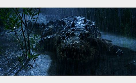 Gustave the monstrous crocodile from the Sci-fi/horror film Primeval. Gustave Crocodile, Lake Placid Movie, Giant Crocodile, Sea Monster Art, Komodo Dragons, Crocodile Animal, River Monsters, Black Beast, Monitor Lizard