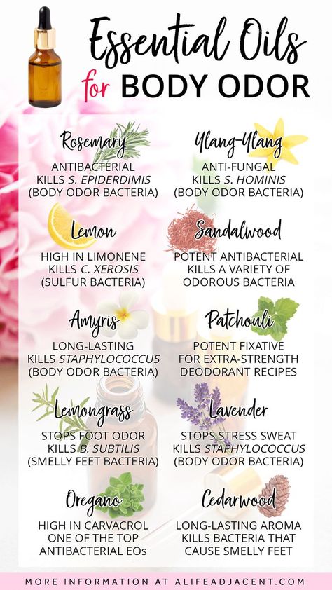 Get rid of body odor naturally – discover the BEST essential oils for body odor with this handy infographic. These antibacterial essential oils are proven natural remedies for smelly armpits and feet, and help prevent stinky sweat, stress sweat, and other sources of bad odor. Read the full guide at ALifeAdjacent.com to learn more + discover the benefits and uses. #essentialoils Natural Antibacterial For Skin, Best Oils For Body Skin Care, Diy Body Oil With Essential Oils, Body Odor Remedies, Sweating Remedies, Odor Remedies, Smelly Armpits, Antibacterial Essential Oils, Essential Oil Perfumes Recipes