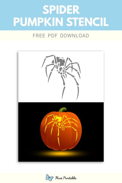 Free printable spider stencil for pumpkin carving. Download it at https://museprintables.com/download/pumpkin-stencil/spider/ Spider Pumpkin Stencil, Pumpkin Carving Spider, Spider Pumpkin Carving, Spider Stencil, Stencil For Pumpkin Carving, Spider Template, Printable Pumpkin Stencils, Pumpkin Stencils Free, Spider Pumpkin