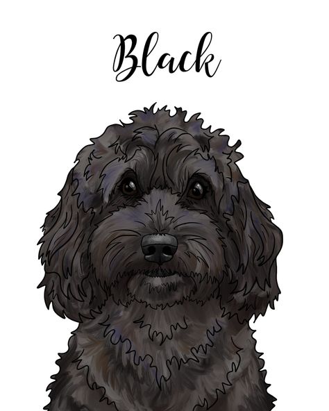 Labradoodle Drawing, Painting Of Dog, Goldendoodle Black, Electronic Drawing, Poodle Drawing, Black Cockapoo, Illustration Software, White Poodle, Puppy Drawing