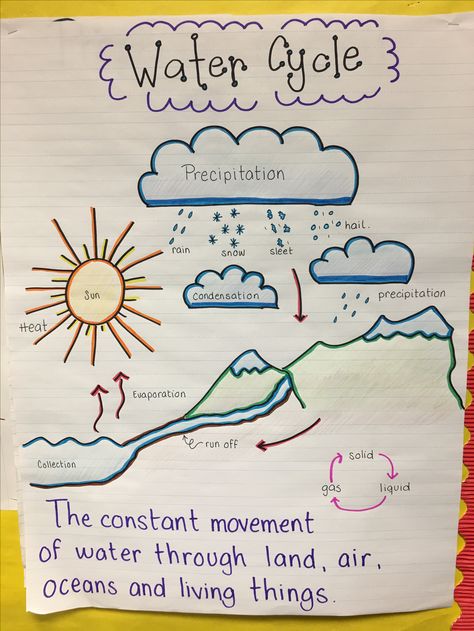 Water cycle anchor chart Water Cycle 2nd Grade, Water Cycle Anchor Chart 2nd Grade, The Water Cycle Anchor Chart, Water Cycle Poster Ideas, Water Cycle 3rd Grade, Water Cycle Poster Project For Kids, Water Cycle For Preschoolers, Water Cycle Project Poster, Anchor Chart 2nd Grade