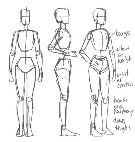 Drawing Essentials, Art Tut, Drawing Refrences, Reference Ideas, Drawing Body Poses, Body Drawing Tutorial, Human Anatomy Drawing, Anatomy Sketches, Body Reference Drawing