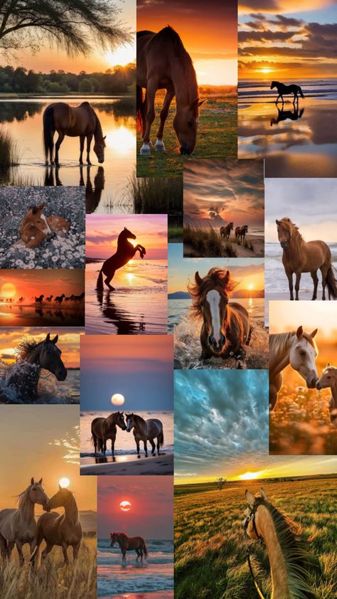 Summer Beach Wallpaper, Horse Quotes Funny, Beautiful Horses Photography, Cute Horse Pictures, Horses Theme, Horse Wallpaper, Horse Aesthetic, Cute Animals Puppies, Ocean Pictures