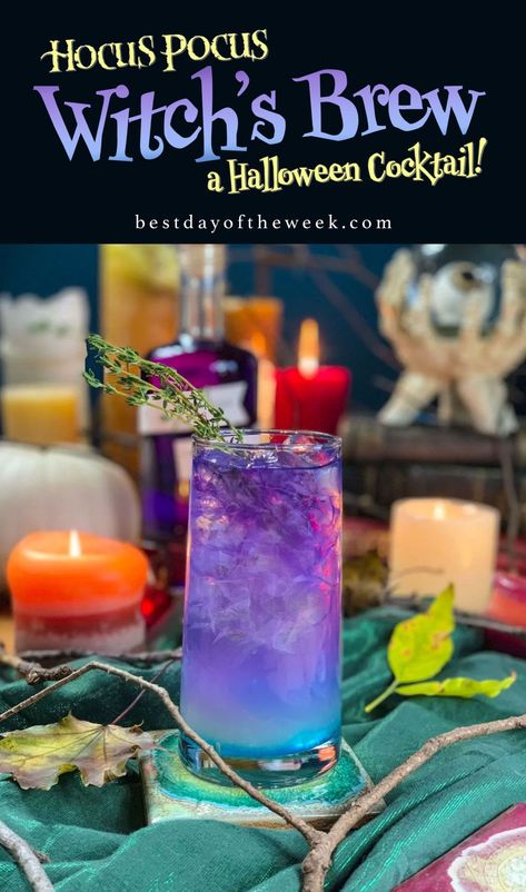 Hocus Pocus Witch’s Brew – Best Day of the Week Hocus Pocus Drinking Game, Witches Brew Drink, Witches Brew Cocktail, Halloween Themed Drinks, Halloween Recipes Drinks, Hocus Pocus Movie, Halloween Party Drinks, Halloween Drinks Alcohol, Hocus Pocus Party