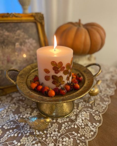 Yesterday, I foraged some fall rose hips and leaves to embed on this candle using wax paper and a heat gun. I wrote out detailed instructions on my journal at Hidden Bluff on how to make this autumn craft. Click the link in profile for more. Best, Anna. #hiddenbluff #sometymeplace #autumndecor #candlediy🕯️ #thanksgivingdecor🕯️ Modern Thanksgiving, Autumn Craft, Cottage Crafts, Autumn Candle, Gold Candle Holders, Rose Hips, Single Candle, Early Winter, My Journal