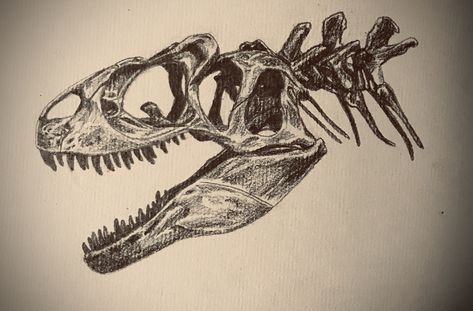 Allosaurus Tattoo, Allosaurus Skull, Creature Drawings, Best Games, Dinosaurs, Art Tutorials, Skull Tattoo, Sketch Book, Sketch