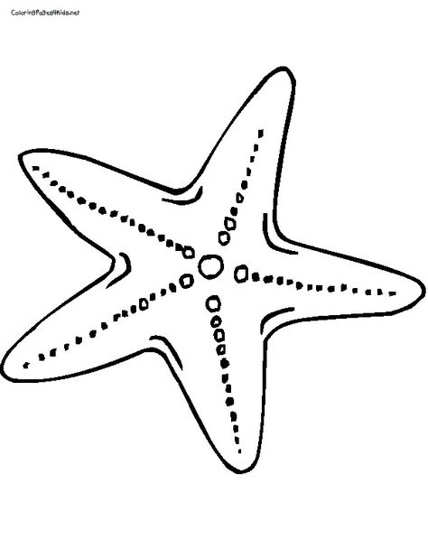 Free star fish coloring page. Paint with glue, then sprinkle with oatmeal for texture. Starfish Template, Starfish Drawing, Starfish Colors, Star Coloring Pages, Fish Coloring Page, Art Projects For Adults, Glue Painting, Stella Marina, Printable Pictures