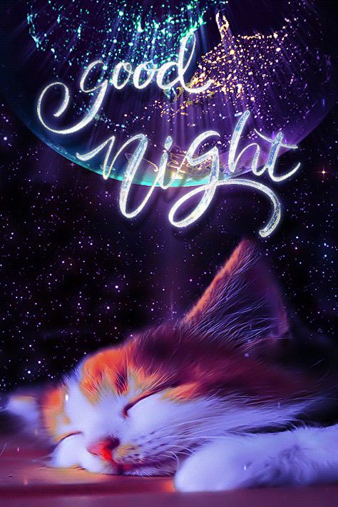 Animated Good Night Images, Goodnight Cute Images Gif, Good Night Gift, Good Night Gif Images, Good Night Images Cute Gif, Gif Good Night Sweet Dreams, Goodnight Gif Images, Good Night Gifs Animation, Sweet Dreams Good Night Gif