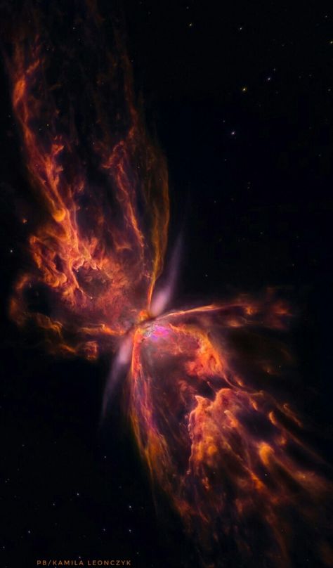 The Butterfly Nebula, Butterfly Nebula Wallpaper, Nasa Hubble Images, Nasa Space Pictures, Beautiful Nebula, Butterfly Nebula, Nasa Pictures, Nasa Wallpaper, Planetary Nebula