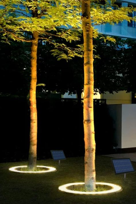 Illuminate trees, palm trees, flag poles, planters, and more around your home from the ground up in 360-degrees using this solar-powered LED tree uplight ring. Palm Tree Lighting Ideas, Outdoor Plant Lighting Ideas, Tree Uplighting Outdoor, Solar Tree Lights Outdoor, Palm Lighting, Tree Ring Ideas, Outdoor Lighting Poles, Palm Tree Lighting, Solar Outdoor Lighting Ideas