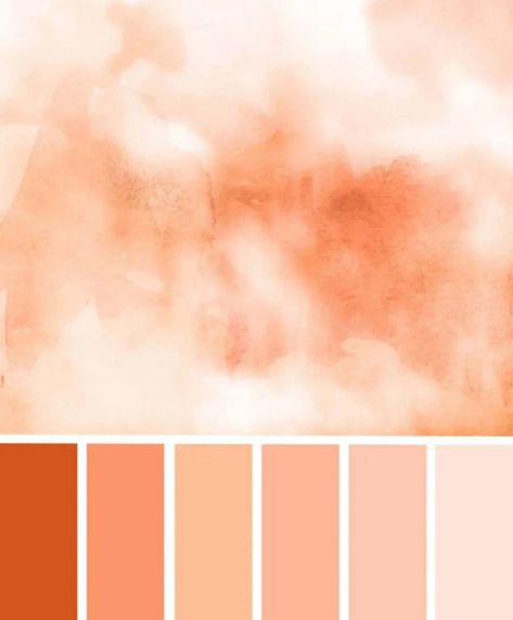 Apricot Colour Palette, Spa Bedroom, Pantone 2024, Color Durazno, Peach Design, Peach Palette, Color Forecasting, Peach Blush, Baby Room Design