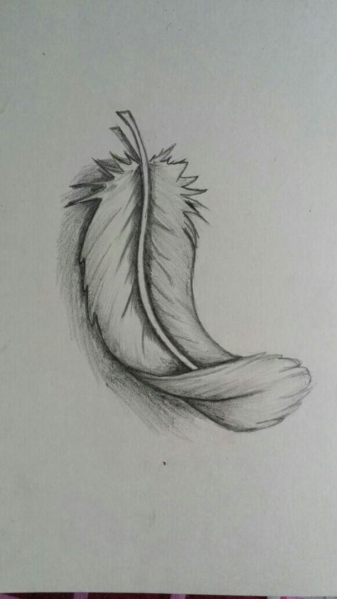 Feather Drawing Biro, Feather Line Drawing, Feather Drawing Pencil, Falling Feathers Drawing, Native American Drawing Pencil Sketches, Feather Drawing Simple, Feather Sketch, Watercolor Tattoo Ideas, Native American Drawing