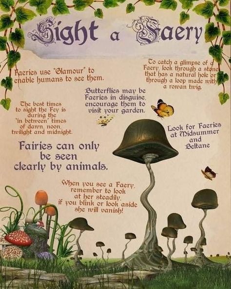 Fairy Offering Ideas, Fairy Offerings, Fairy Facts, Fairy Sightings, Beltane Aesthetic, Fairies Facts, Faery Magick, Fae Witch, Fairies Mythology