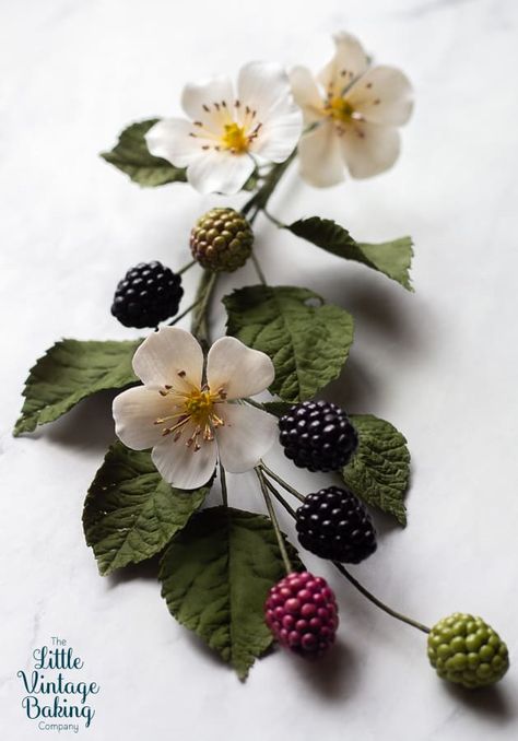 Gum Paste Blackberries, Leaves and Blossoms Tutorial - The Little Vintage Baking Company Sugar Paste Flowers, Fondant Flowers, Sugar Flowers, Sugar Flowers Tutorial, Flower Artists, Decorating Cakes, Vintage Baking, Gum Paste Flowers, Baking Company