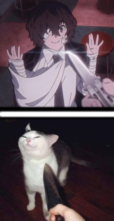 Anime With Knife, Cat With Knife Drawing, Cat Dazai, Knife Pictures, Cat Knife, Knife Cat, Cat With Knife, Silly Meme, Knife Drawing