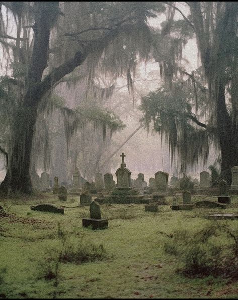 New England Gothic Aesthetic, Deep South Aesthetic, Creepy Town, Paradis Sombre, Southern Gothic Aesthetic, Dnd Campaign, Dark Nature, American Gothic, Deep South