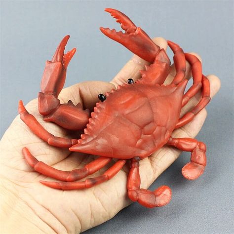 Plastic Simulation Mini Crab Models Kids Emulation Animal Toys Gifts Crab Mini Small Toys Simulation Model For Crabs Funny Crab Toy, Sea Life Animals, Sea Crab, Ocean Kids, Animal Model, Resin Jewelry Making, Sea Animal, Kids Toy Gifts, Ocean Creatures