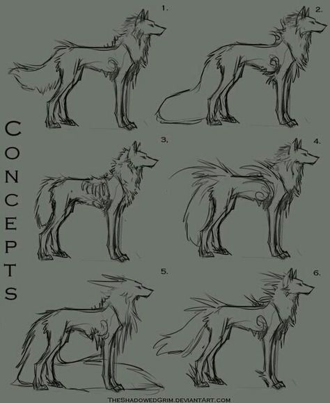 Wolf Pelt Drawing, Wolf Standing Drawing, Wolf Poses Drawing, How To Draw Wolves, Wolf Tail Drawing, Animal Base Drawing, Animal Art Reference, How To Draw Paws, Draw A Wolf