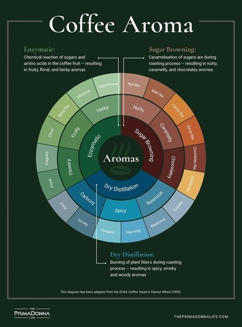 Resep Koktail, Coffee Brewing Methods, Coffee Infographic, Types Of Coffee, Coffee Aroma, Coffee Guide, Coffee Facts, Coffee World, Coffee Barista