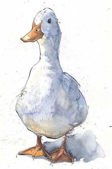 Watercolour Ducks, 심플한 그림, Drawing Eyes, Drawing Hair, Original Ink Drawing, Watercolour Inspiration, 수채화 그림, A Duck, Ink Drawings