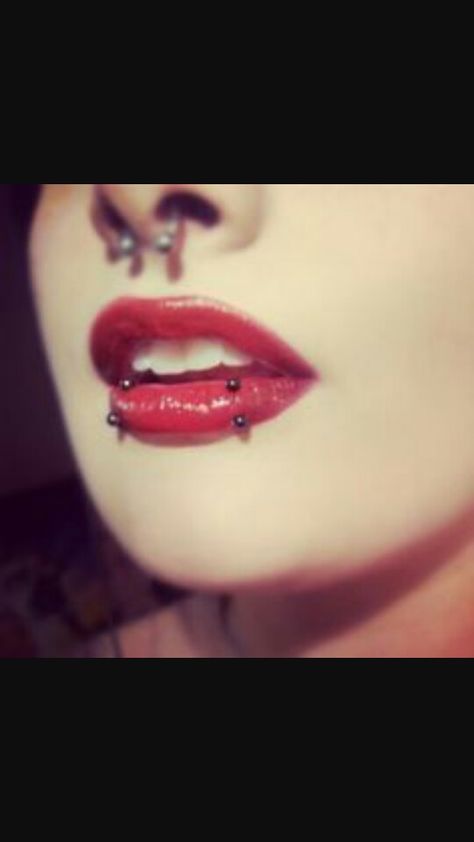 Vertical snakebites Vertical Snakebites Piercing, Double Bottom Lip Piercing, Paired Vertical Labret, Snake Bites On Small Lips, Vertical Snake Bites Piercing, Double Vertical Labret Piercing, Side Vertical Labret, Raccoon Bites Piercing, Snake Bites And Septum