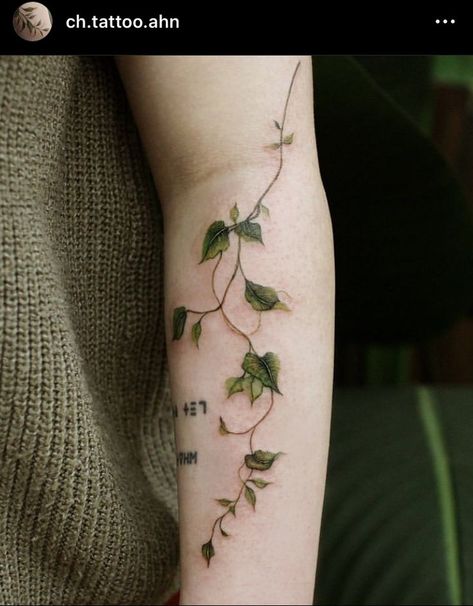 Hanging Vines Tattoo, Plant Tattoos For Women Leg, Ivy Tattoo Around Arm, Colored Plant Tattoo, Plant Aesthetic Tattoo, Green Ivy Tattoo, Moss Tattoo Design, Leaf Skeleton Tattoo, Garden Tattoo Back