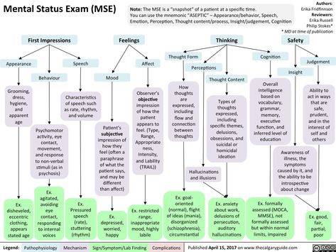 Mental Status Examination, Lcsw Study Guide, Forensic Social Work, Hospital Social Work, Lcsw Exam Prep, Mental Status Exam, Clinical Counseling, Social Work Interventions, Cbt Therapy Worksheets